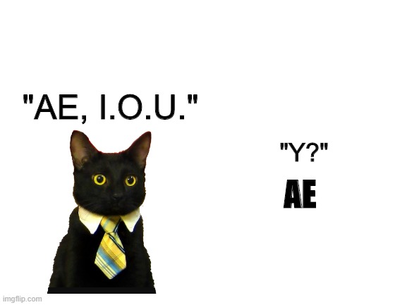 Get it? | "AE, I.O.U."; "Y?"; AE | image tagged in blank white template,aeiou,bad joke | made w/ Imgflip meme maker