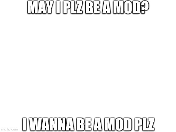 i wanna be a mod | MAY I PLZ BE A MOD? I WANNA BE A MOD PLZ | image tagged in blank white template | made w/ Imgflip meme maker