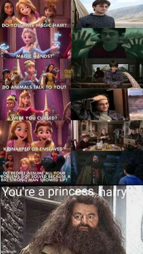 You're a princess hairy | image tagged in harry potter,princess,hagrid | made w/ Imgflip meme maker