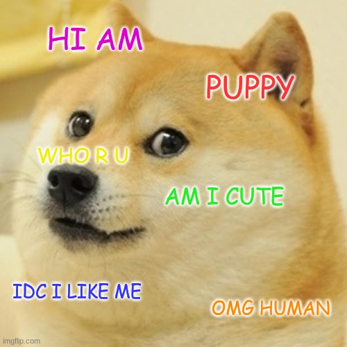 Doge Meme | HI AM; PUPPY; WHO R U; AM I CUTE; IDC I LIKE ME; OMG HUMAN | image tagged in memes,doge | made w/ Imgflip meme maker