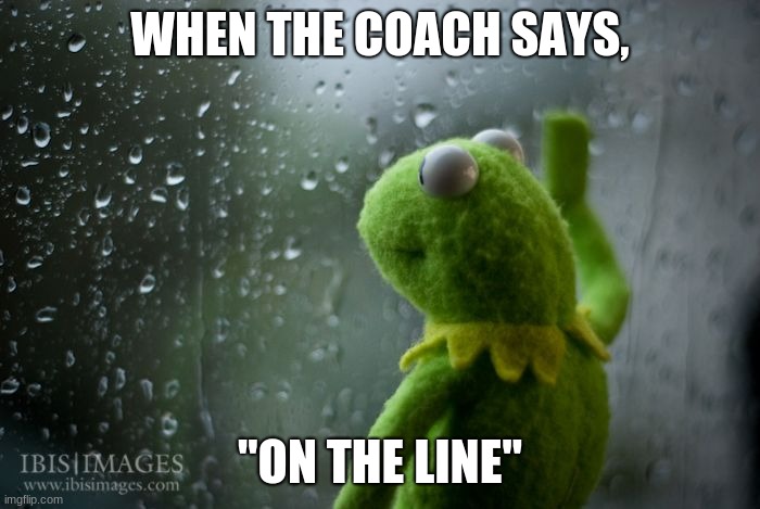 kermit window | WHEN THE COACH SAYS, "ON THE LINE" | image tagged in kermit window | made w/ Imgflip meme maker