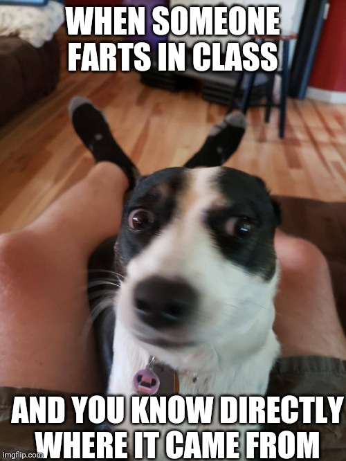 Lol my friend told me to make a meme out of this?? | WHEN SOMEONE FARTS IN CLASS; AND YOU KNOW DIRECTLY WHERE IT CAME FROM | image tagged in memes,funny,relatable | made w/ Imgflip meme maker