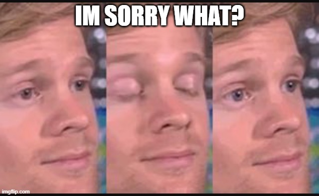 Blinking guy | IM SORRY WHAT? | image tagged in blinking guy | made w/ Imgflip meme maker