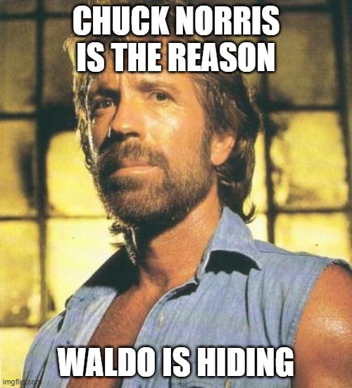 Chuck Norris | CHUCK NORRIS IS THE REASON; WALDO IS HIDING | image tagged in chuck norris | made w/ Imgflip meme maker