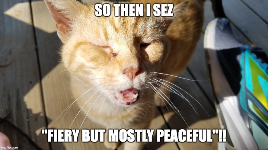 I present to you Punchline Cat | SO THEN I SEZ; "FIERY BUT MOSTLY PEACEFUL"!! | image tagged in punchline cat | made w/ Imgflip meme maker