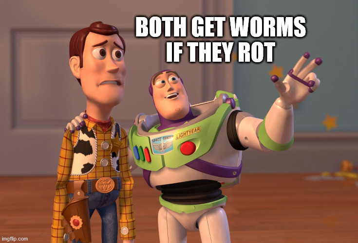 X, X Everywhere Meme | BOTH GET WORMS
IF THEY ROT | image tagged in memes,x x everywhere | made w/ Imgflip meme maker