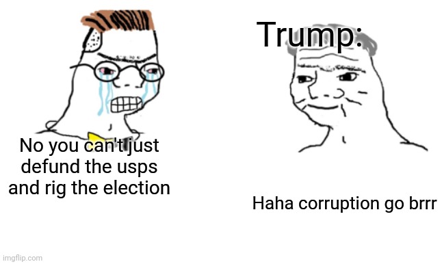 People also forget that he got impeached for using foreign aid in an election | Trump:; No you can't just defund the usps and rig the election; Haha corruption go brrr | image tagged in no you cant just | made w/ Imgflip meme maker