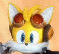 woops tails Blank Meme Template