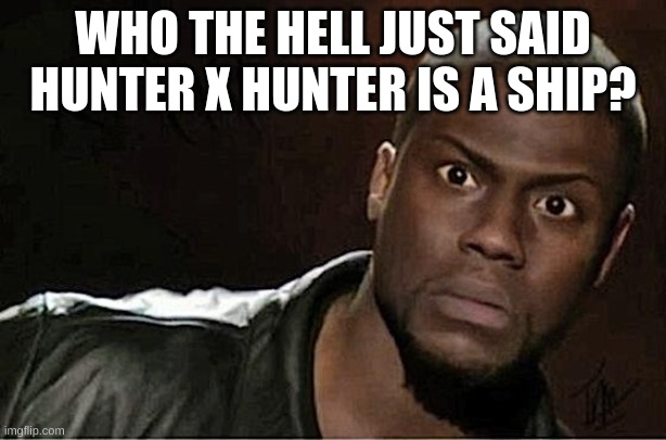 Kevin Hart | WHO THE HELL JUST SAID HUNTER X HUNTER IS A SHIP? | image tagged in memes,kevin hart | made w/ Imgflip meme maker