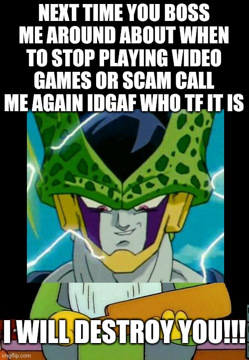 That's a paddlin' | NEXT TIME YOU BOSS ME AROUND ABOUT WHEN TO STOP PLAYING VIDEO GAMES OR SCAM CALL ME AGAIN IDGAF WHO TF IT IS; I WILL DESTROY YOU!!! | image tagged in memes,that's a paddlin',dank memes,savage memes,dragon ball z perfect cell | made w/ Imgflip meme maker