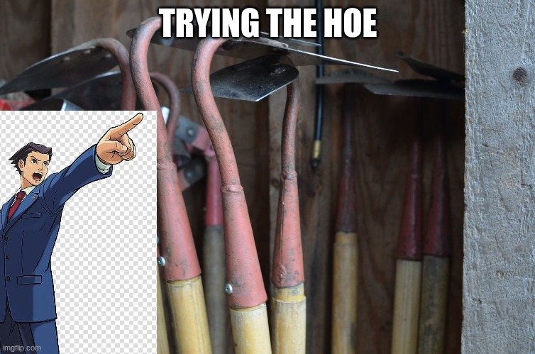 Hoes | TRYING THE HOE | image tagged in hoes | made w/ Imgflip meme maker