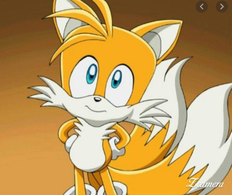 High Quality inocent tails Blank Meme Template