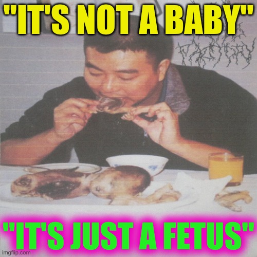 baby? what baby? | "IT'S NOT A BABY"; "IT'S JUST A FETUS" | image tagged in liberal's medically necessary abortion | made w/ Imgflip meme maker
