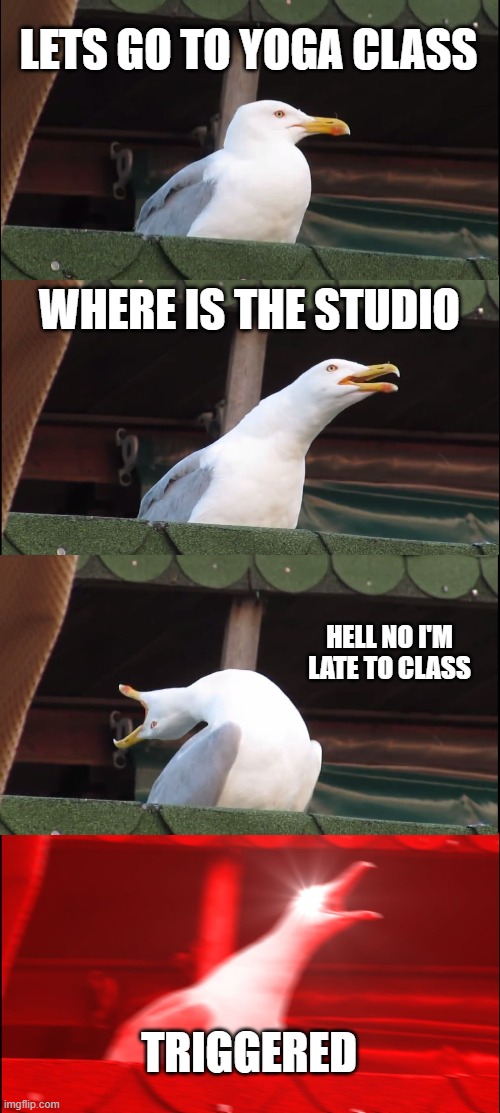 Inhaling Seagull | LETS GO TO YOGA CLASS; WHERE IS THE STUDIO; HELL NO I'M LATE TO CLASS; TRIGGERED | image tagged in memes,inhaling seagull | made w/ Imgflip meme maker
