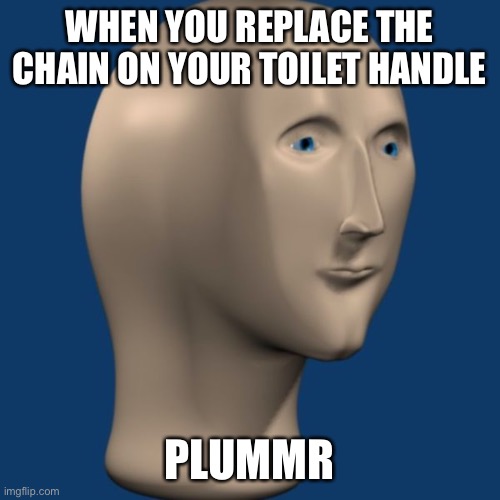 meme man | WHEN YOU REPLACE THE CHAIN ON YOUR TOILET HANDLE; PLUMMR | image tagged in meme man | made w/ Imgflip meme maker