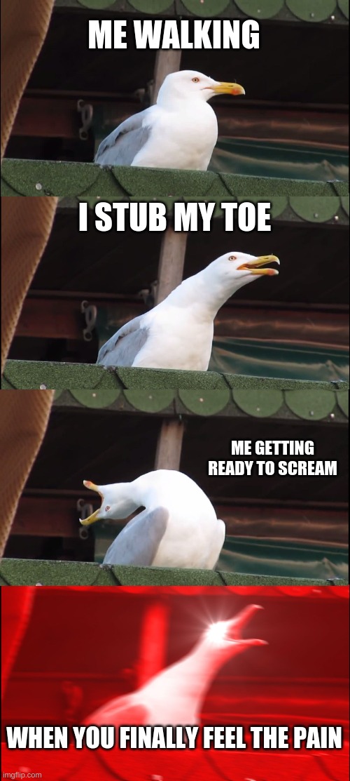 toe stub | ME WALKING; I STUB MY TOE; ME GETTING READY TO SCREAM; WHEN YOU FINALLY FEEL THE PAIN | image tagged in memes,inhaling seagull | made w/ Imgflip meme maker