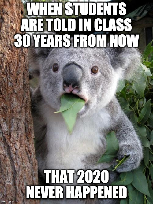 When Students in Class are told 30 years from now that 2020 never happened | WHEN STUDENTS ARE TOLD IN CLASS 30 YEARS FROM NOW; THAT 2020 NEVER HAPPENED | image tagged in memes,surprised koala | made w/ Imgflip meme maker