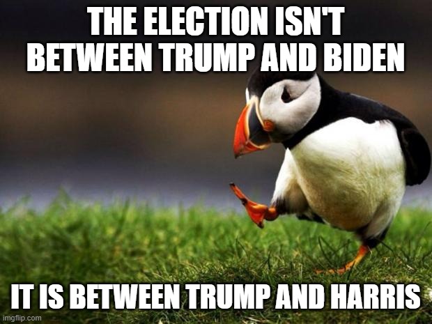 Biden won't last four months in the White House, let alone four years | THE ELECTION ISN'T BETWEEN TRUMP AND BIDEN; IT IS BETWEEN TRUMP AND HARRIS | image tagged in memes,unpopular opinion puffin,biden,trump,election 2020 | made w/ Imgflip meme maker