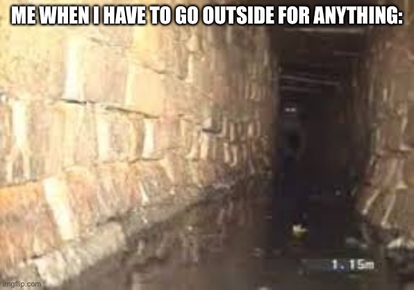 introvert emerging | ME WHEN I HAVE TO GO OUTSIDE FOR ANYTHING: | image tagged in introvert emerging | made w/ Imgflip meme maker