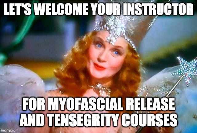 Fairtale of myofascial release | LET'S WELCOME YOUR INSTRUCTOR; FOR MYOFASCIAL RELEASE AND TENSEGRITY COURSES | image tagged in fairy tale | made w/ Imgflip meme maker