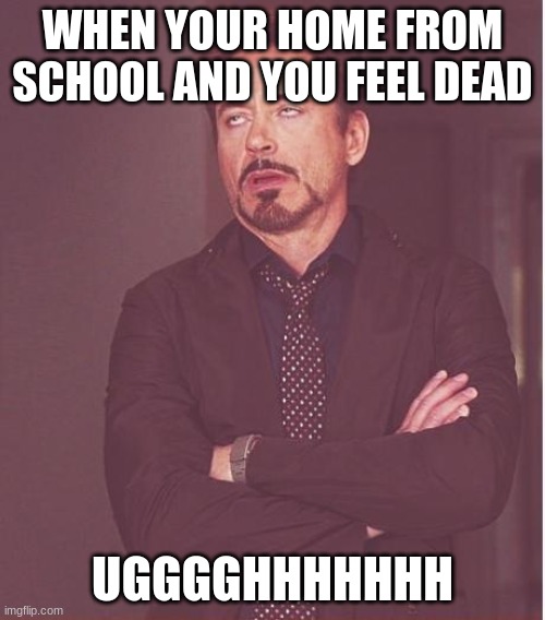 more HW | WHEN YOUR HOME FROM SCHOOL AND YOU FEEL DEAD; UGGGGHHHHHHH | image tagged in memes,face you make robert downey jr | made w/ Imgflip meme maker