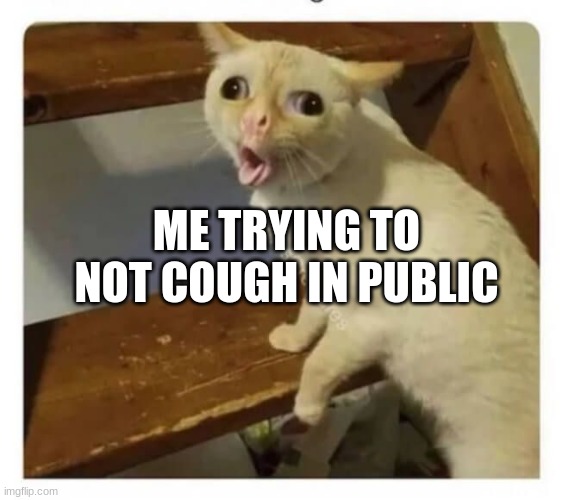 Coughing Cat | ME TRYING TO NOT COUGH IN PUBLIC | image tagged in coughing cat | made w/ Imgflip meme maker