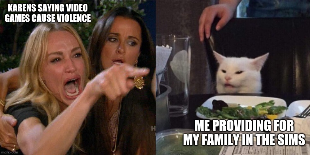 Woman yelling at cat | KARENS SAYING VIDEO GAMES CAUSE VIOLENCE; ME PROVIDING FOR MY FAMILY IN THE SIMS | image tagged in woman yelling at cat | made w/ Imgflip meme maker