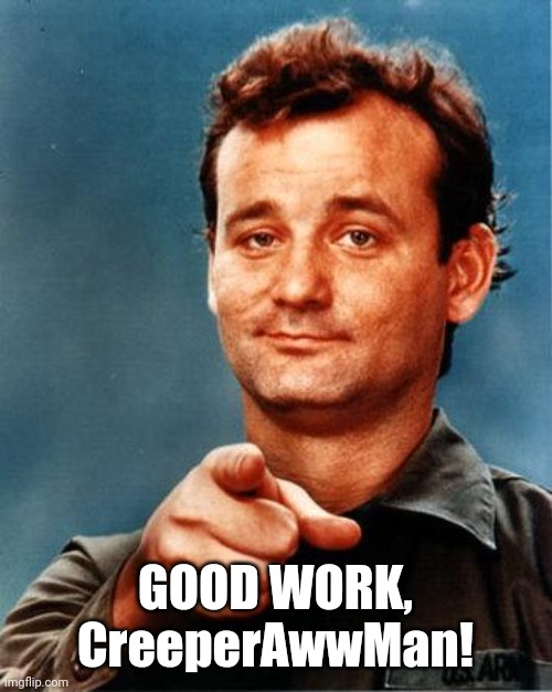 Bill Murray  | GOOD WORK, CreeperAwwMan! | image tagged in bill murray | made w/ Imgflip meme maker