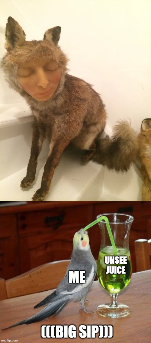 what the f*ck is this | UNSEE JUICE; ME; (((BIG SIP))) | image tagged in bird drinking green juice,creepy human fox | made w/ Imgflip meme maker