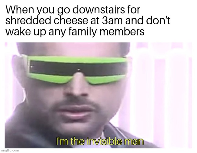 im invisibe | image tagged in gotanypain | made w/ Imgflip meme maker