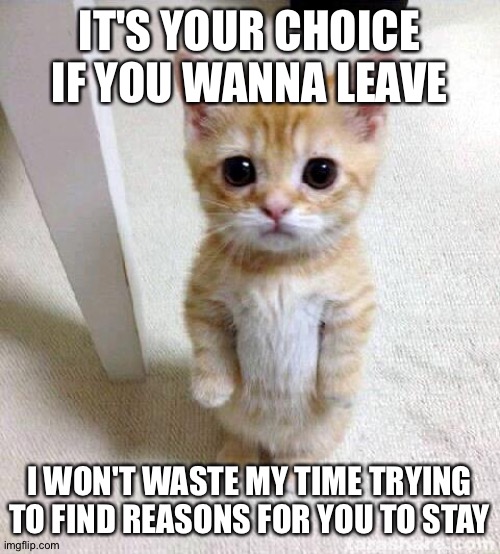 Cute Cat Meme | IT'S YOUR CHOICE IF YOU WANNA LEAVE; I WON'T WASTE MY TIME TRYING TO FIND REASONS FOR YOU TO STAY | image tagged in memes,cute cat | made w/ Imgflip meme maker