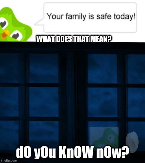 dam duo | WHAT DOES THAT MEAN? dO yOu KnOW nOw? | image tagged in scary,duolingo,duolingo bird | made w/ Imgflip meme maker