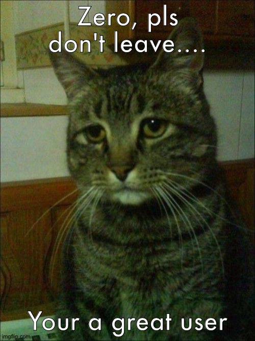 Do not leave :( | Zero, pls don't leave.... Your a great user | image tagged in memes,depressed cat | made w/ Imgflip meme maker