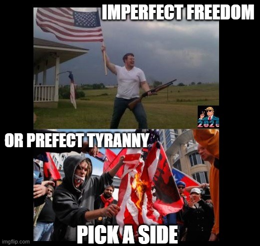IMPERFECT FREEDOM; OR PREFECT TYRANNY; PICK A SIDE | image tagged in usa | made w/ Imgflip meme maker