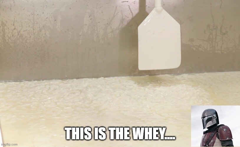 This is the whey | THIS IS THE WHEY.... | image tagged in funny,play on words | made w/ Imgflip meme maker