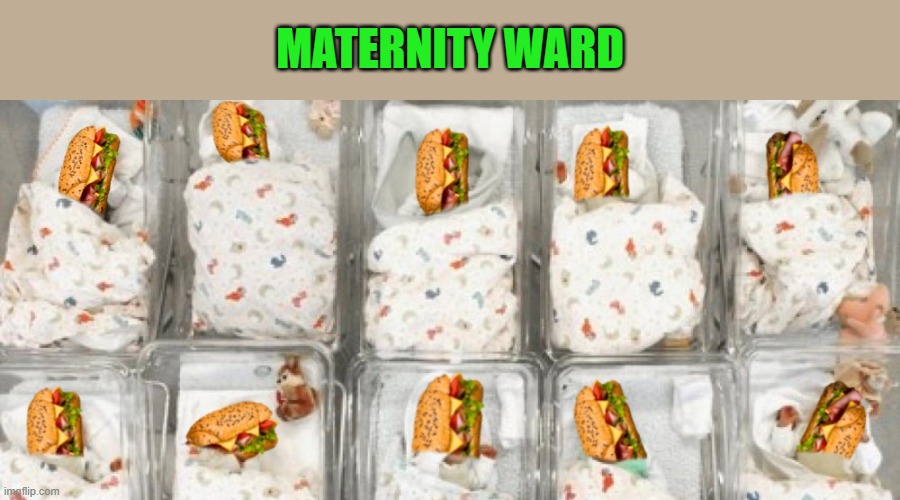 maternity ward | MATERNITY WARD | image tagged in kewlew,sandwich | made w/ Imgflip meme maker