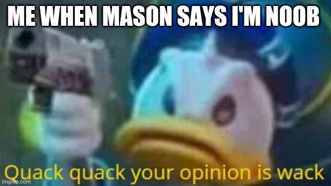 quack quack your opinion is wack | ME WHEN MASON SAYS I'M NOOB | image tagged in quack quack your opinion is wack | made w/ Imgflip meme maker