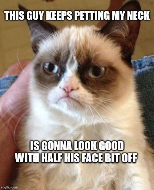 Grumpy Cat | THIS GUY KEEPS PETTING MY NECK; IS GONNA LOOK GOOD WITH HALF HIS FACE BIT OFF | image tagged in memes,grumpy cat | made w/ Imgflip meme maker