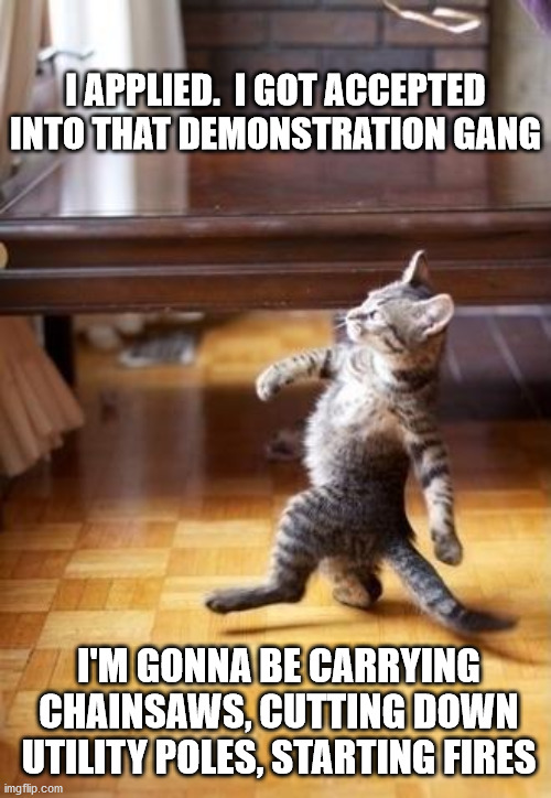 Cool Cat Stroll Meme | I APPLIED.  I GOT ACCEPTED INTO THAT DEMONSTRATION GANG; I'M GONNA BE CARRYING CHAINSAWS, CUTTING DOWN UTILITY POLES, STARTING FIRES | image tagged in memes,cool cat stroll | made w/ Imgflip meme maker