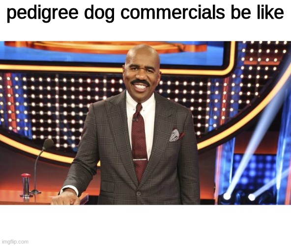 ads | pedigree dog commercials be like | image tagged in funny memes | made w/ Imgflip meme maker