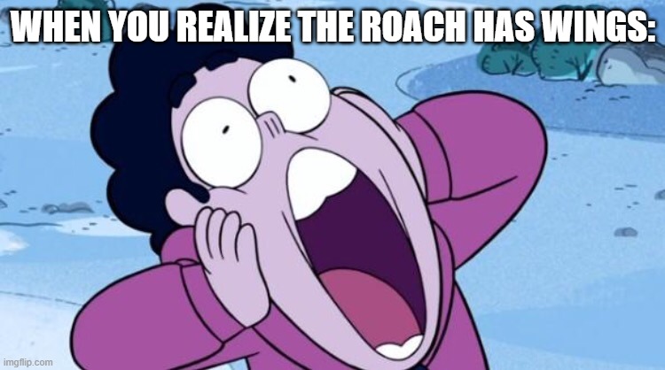Steven Universe NOOO | WHEN YOU REALIZE THE ROACH HAS WINGS: | image tagged in steven universe nooo | made w/ Imgflip meme maker