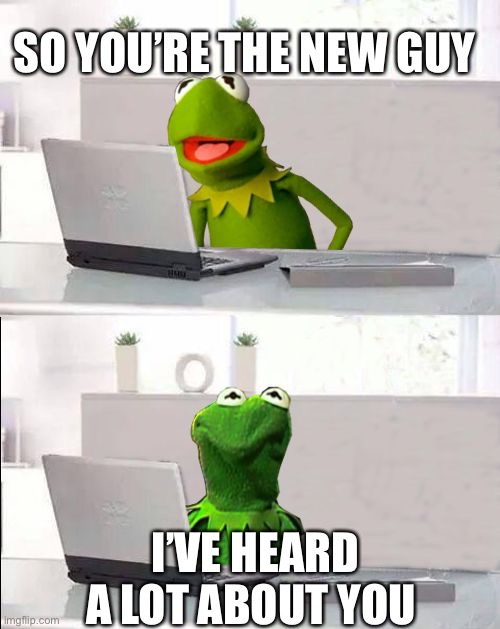 Hide The Pain Kermit |  SO YOU’RE THE NEW GUY; I’VE HEARD A LOT ABOUT YOU | image tagged in hide the pain kermit | made w/ Imgflip meme maker