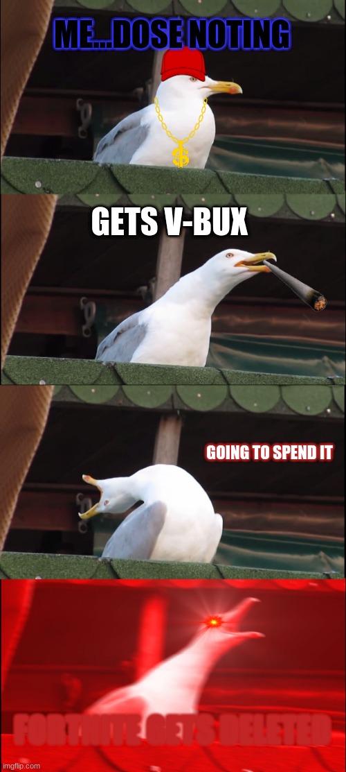 Me = Sad | ME...DOSE NOTING; GETS V-BUX; GOING TO SPEND IT; FORTNITE GETS DELETED | image tagged in memes,inhaling seagull | made w/ Imgflip meme maker