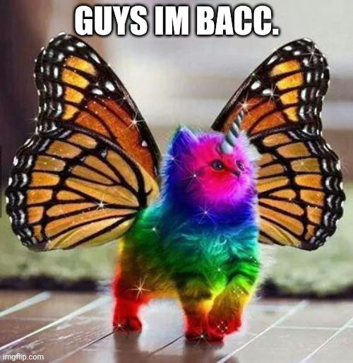 lol idk y i made this | GUYS IM BACC. | image tagged in rainbow unicorn butterfly kitten | made w/ Imgflip meme maker