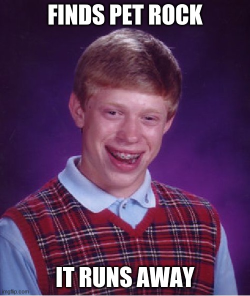 Bad Luck Brian Meme | FINDS PET ROCK; IT RUNS AWAY | image tagged in memes,bad luck brian | made w/ Imgflip meme maker