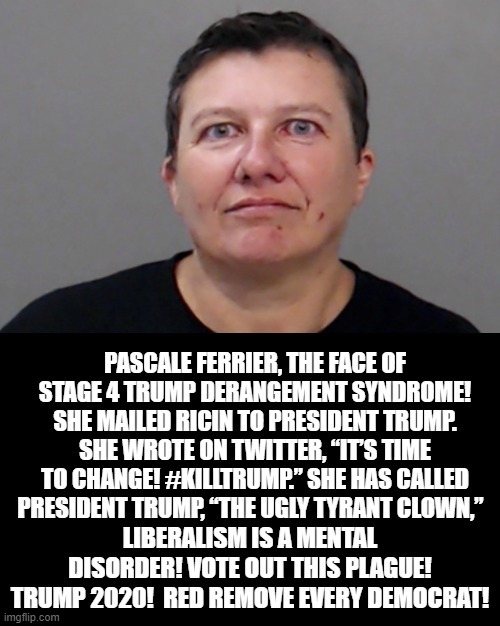 Liberalism Is A Mental Disorder! Vote Out This Plague! Vote RED Remove Every Democrat | image tagged in stupid liberals | made w/ Imgflip meme maker