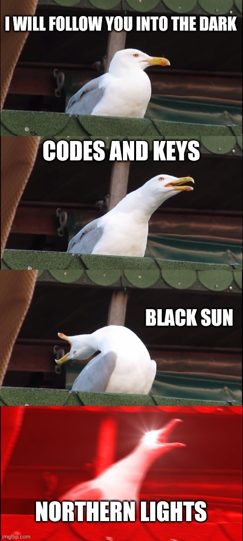 If you know Death Cab, ya'll know what I'm talking about ? | I WILL FOLLOW YOU INTO THE DARK; CODES AND KEYS; BLACK SUN; NORTHERN LIGHTS | image tagged in memes,inhaling seagull | made w/ Imgflip meme maker