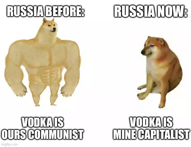 Buff Doge vs. Cheems Meme | RUSSIA NOW:; RUSSIA BEFORE:; VODKA IS OURS COMMUNIST; VODKA IS MINE CAPITALIST | image tagged in buff doge vs cheems | made w/ Imgflip meme maker