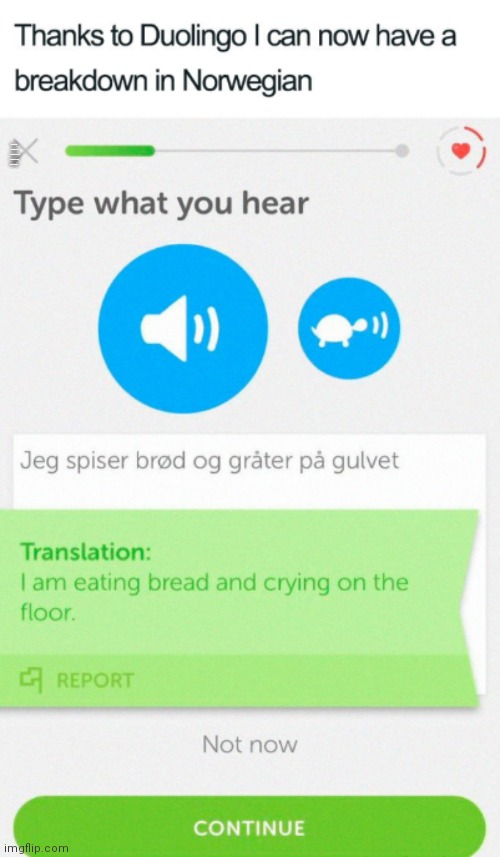 Lol | THANKS TO DUOLINGO I CAN NOW HAVE A BREAKDOWN IN NORWEGIAN | image tagged in duolingo,funny,memes,fun,norwegian | made w/ Imgflip meme maker