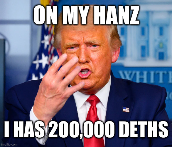 200000 Deths on Trump's Hanz | ON MY HANZ; I HAS 200,000 DETHS | image tagged in trump,covid-19,responsibility | made w/ Imgflip meme maker